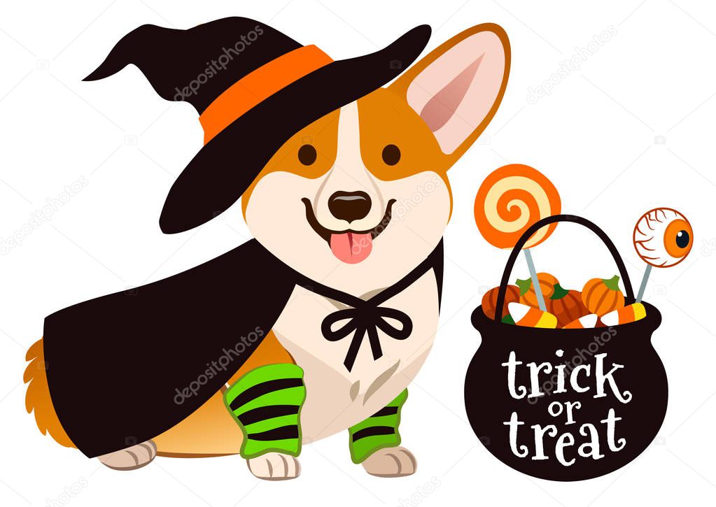 Halloween corgi puppy dog dressed as witch, wearing hat and cape, with black trick or treat cauldron filled with candy corn, candy pumpkins and lollipops. Pet lovers theme vector cartoon illustration.