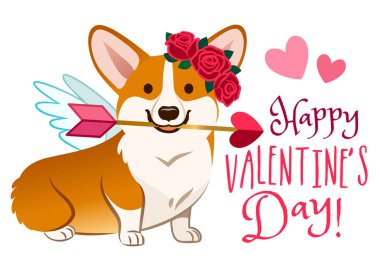 Komik corgi köpek aşk tanrısı, gül çiçek çelenk başında, kalp ok ağzına melek kanatları ile giyinmiş. Sevgililer günü, aşk, Evcil hayvan, köpek severler çizgi film Tema tasarım öğesi tebrik kartları, afiş için.