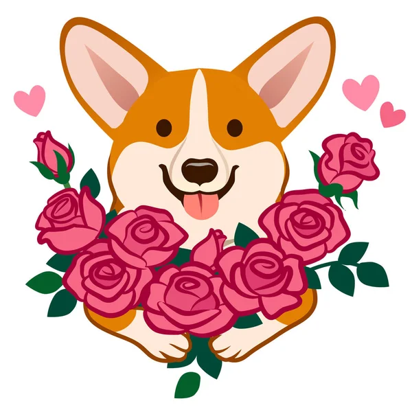 Corgi Chien Tenant Bouquet Roses Vecteur Dessin Animé Illustration Amoureux — Image vectorielle