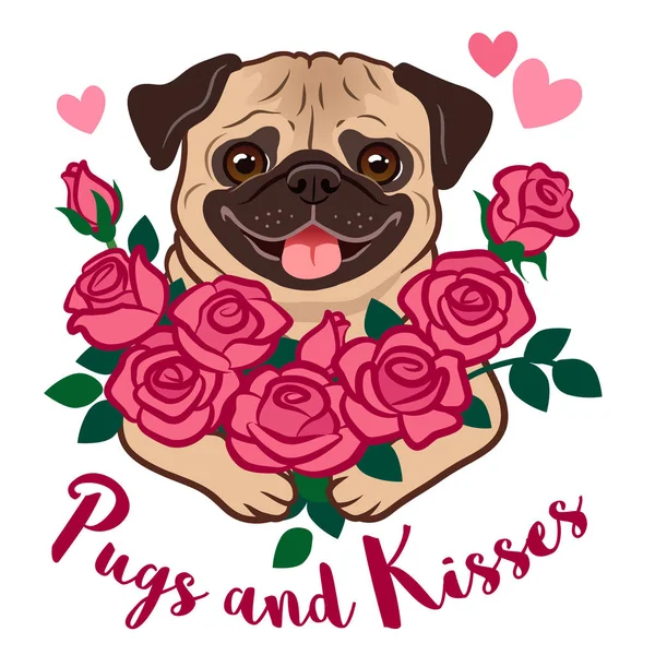 有趣的小狗抱着一束粉红色的玫瑰 与心和文字 帕格斯和吻 孤立在白色 情人节 宠物爱好者 浪漫主题矢量卡通 — 图库矢量图片