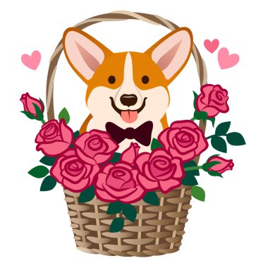 Corgi köpek gül vektör karikatür çizim bir sepet içinde oturuyor. Komik şirin esprili sevgi, dostluk, dating, romantizm, Doğum günü, Sevgililer günü kutlama, evde beslenen hayvan aşık, çocuk tebrik kartları. 