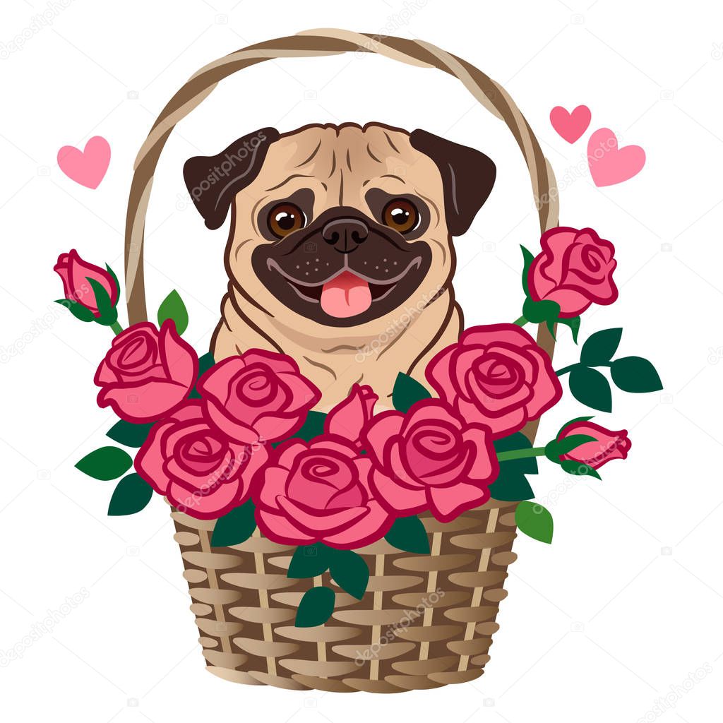 Ritratto Il mio animale domestico | Ritratti personalizzati per animali  domestici e regali unici, image size:1024x1024