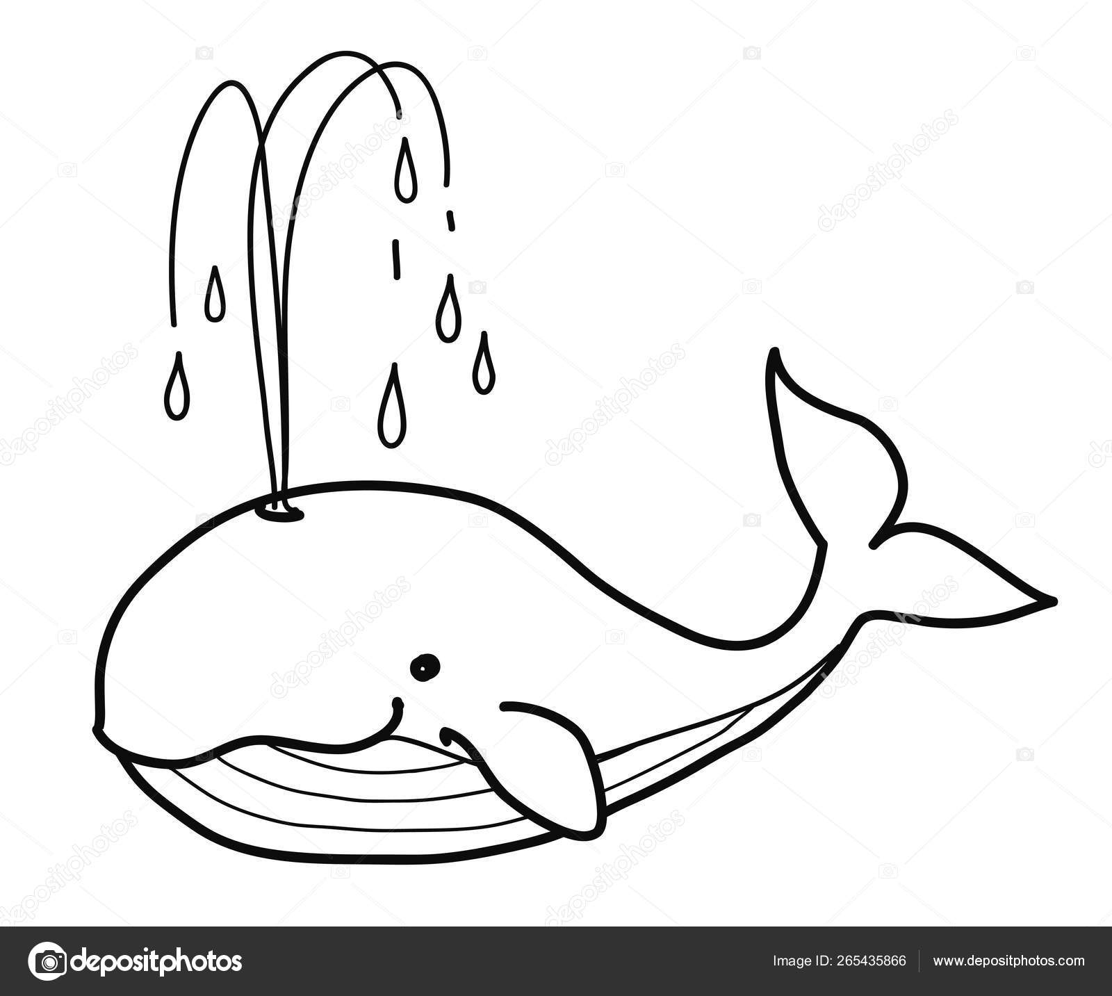 Whale Doodle Simple Black And White Pen And Ink Style Hand Draw