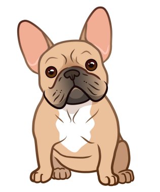 Komik baş tilt vektör ca ile Fransız bulldog sevimli oturan köpek yavrusu