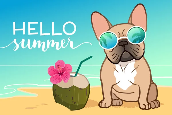 Французский бульдог щенок в отражающих солнцезащитных очках на песке быть — стоковый вектор