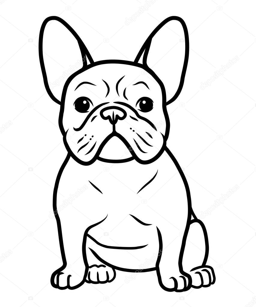 French bulldog black and white hand drawn cartoon portrait vecto