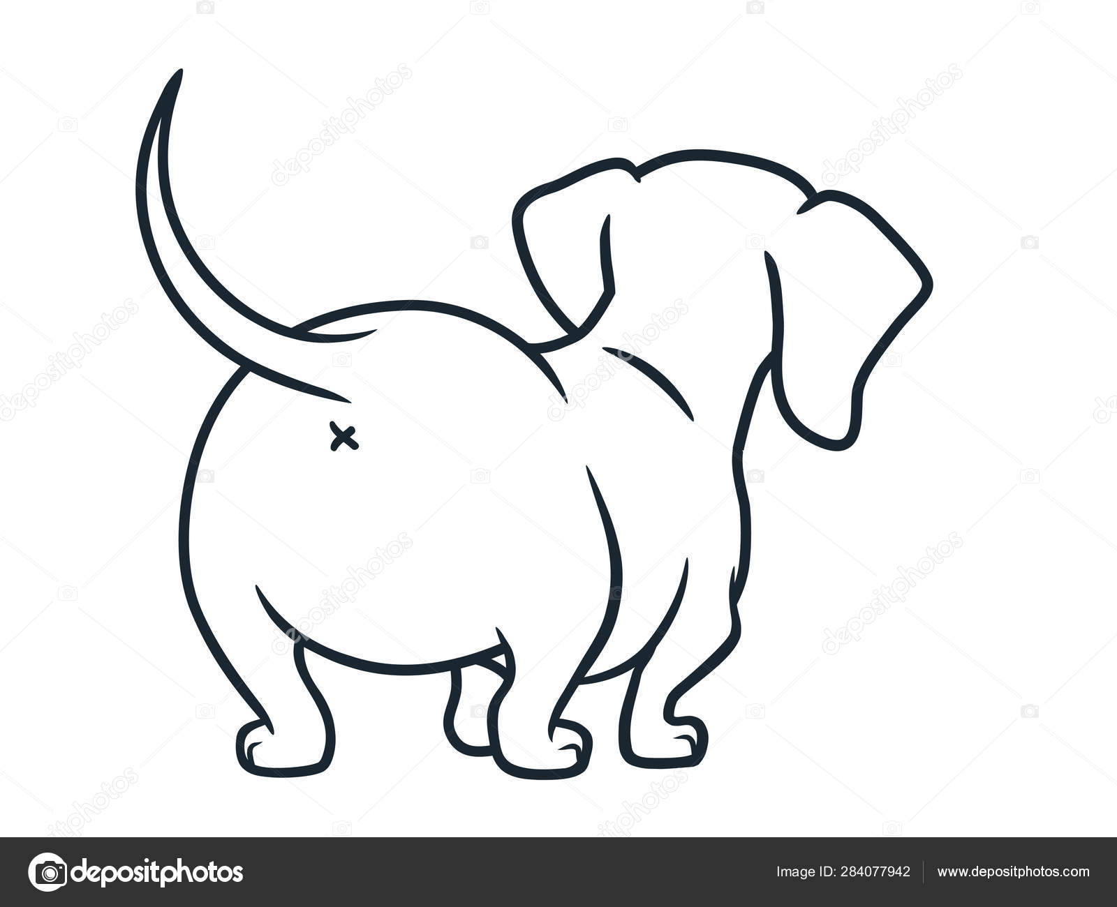 dachshund sausage