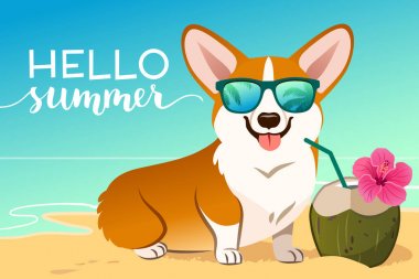 Corgi köpek kumlu bir plajda yansıtıcı güneş gözlüğü giyiyor, okyanus 