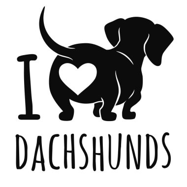 Sevimli dachshund köpek vektör illüstrasyon beyaz izole, 