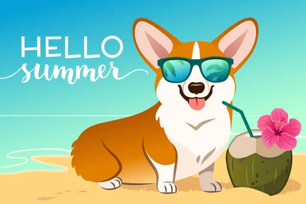 Corgi Hund mit reflektierender Sonnenbrille am Sandstrand, Meer — Stockvektor