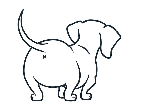 Изолированная векторная иллюстрация собаки таксы и колбасы — стоковый вектор