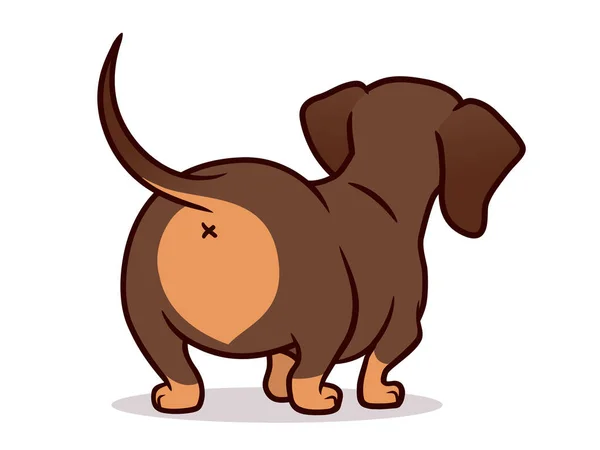 Desenho animado bonito do vetor do cão do dachshund isolado no branco —  Vetores de Stock