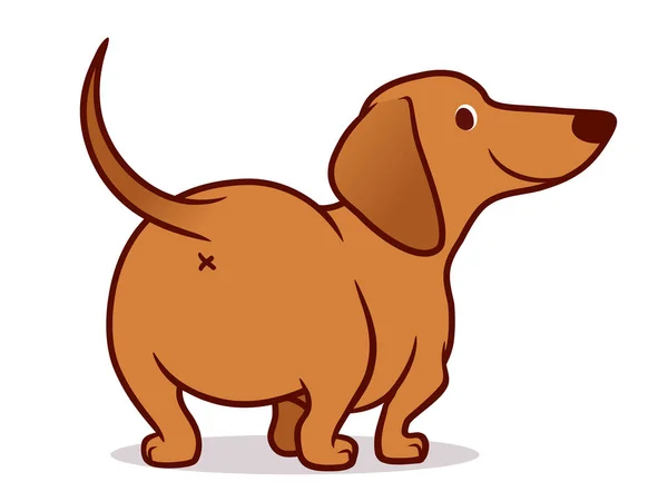 Cute wiener sausage dog vector cartoon illustration isolated on — Stock Vector