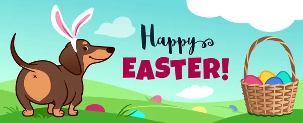Hezký jezevčí pes s velikonočními králíšky sedí v trávě, košík Stock Ilustrace