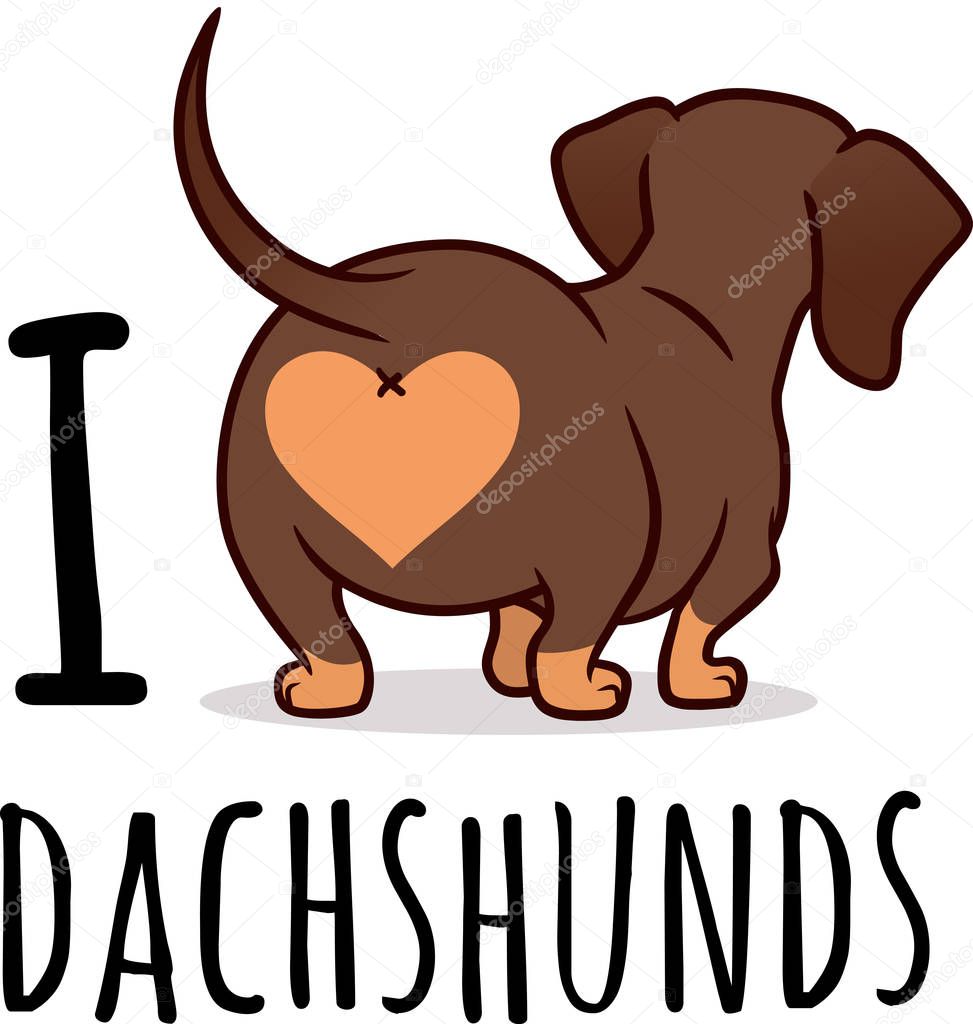 Cute dachshund dog vector cartoon illustration isolated on white