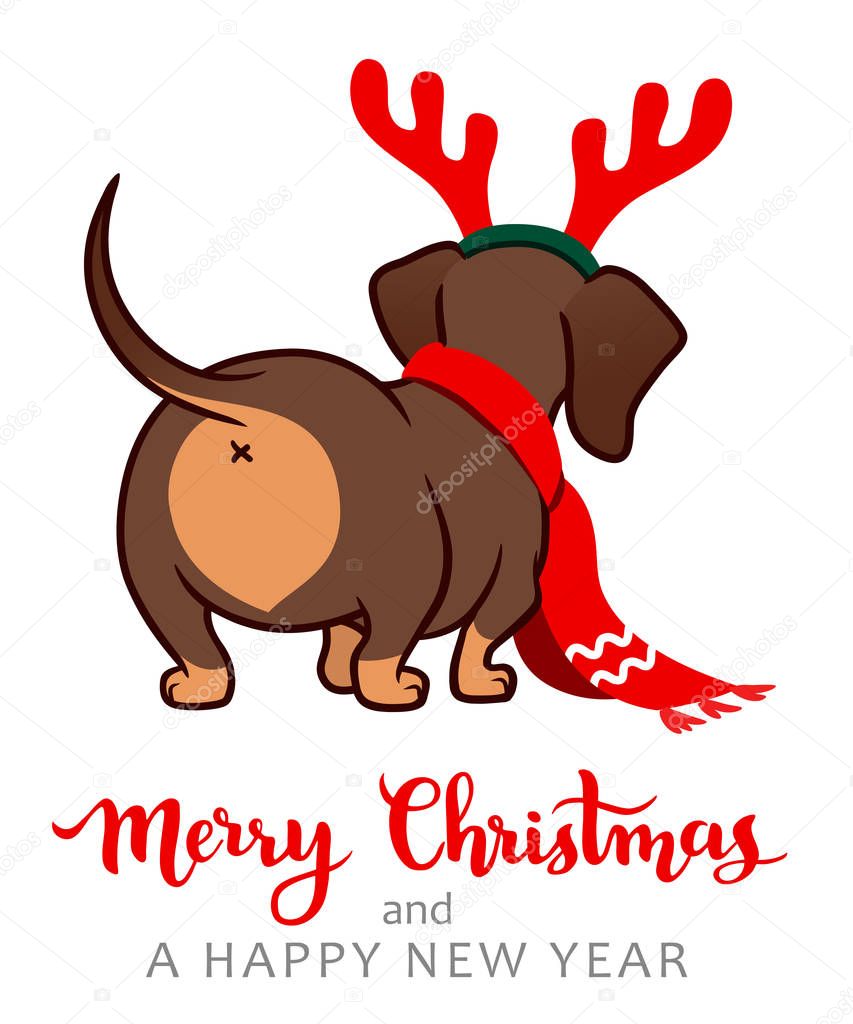 Christmas dachshund puppy dog vector cartoon illustration. Cute 