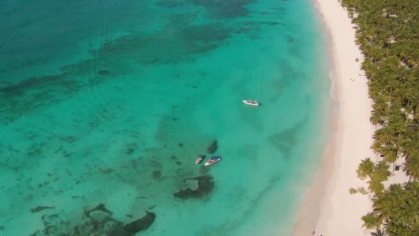 カリブ海のビーチのHDドローン映像 — ストック動画