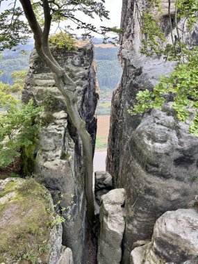 Rathen 'da iki kaya arasında bir fotoğraf ve ortada bir ağaç.