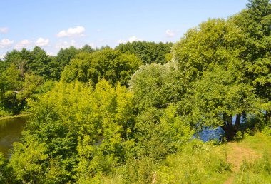 Nehir, orman ve mavi gökyüzüyle yaz manzarası.