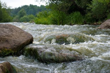 Ormanda güzel bir nehir doğada