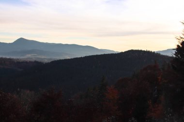 Dağlarda sonbahar manzarası Renkli ağaçlarla