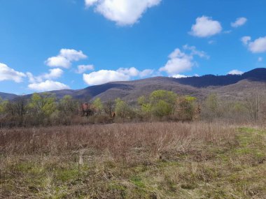 Dağları ve ağaçları olan güzel bir manzara.