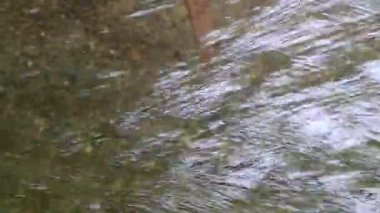 Kayalık bir yatağın üzerinde ince bir akış olan suyun soyut görüntüsü.