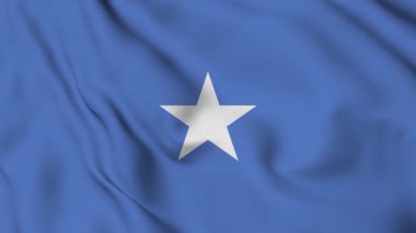 Sallanan Somali Bayrağı