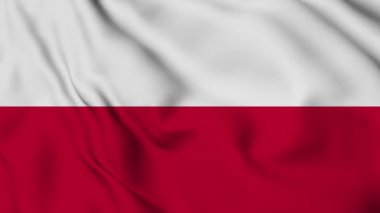 Polonya Bayrağı Dalgalanıyor