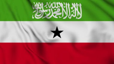 Sallanan Somaliland Bayrağı