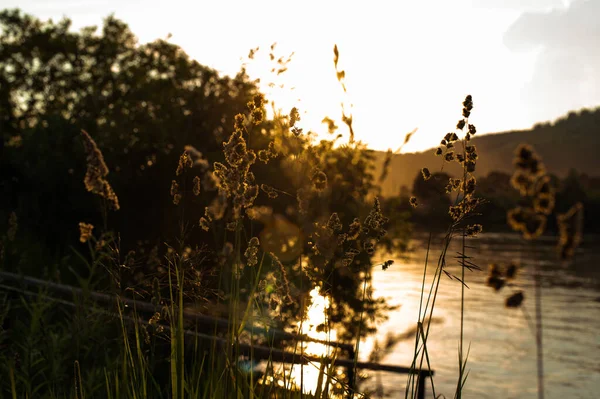 Quiet river at sunset. Nature, summer concept. River sunset scene. Selective soft focus