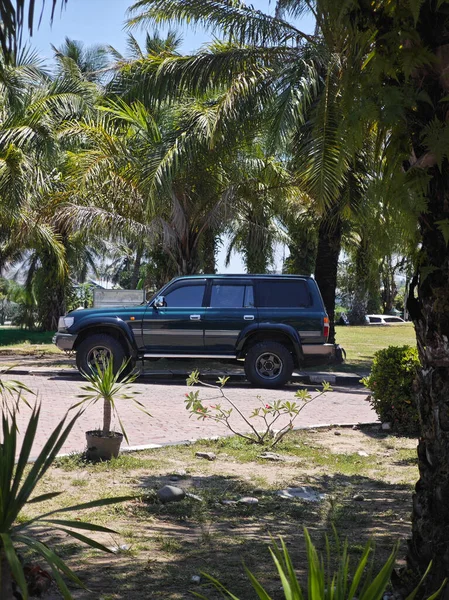 Parlak güneş ışığı altında verimli tropikal palmiyelerle çevrili asfalt yolda park etmiş klasik koyu yeşil SUV.