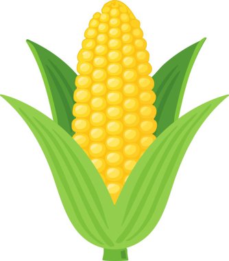 Sarı çekirdekli vektör mısır ve yeşil kabuk, düz stil, minimal temiz tasarım, izole edilmiş