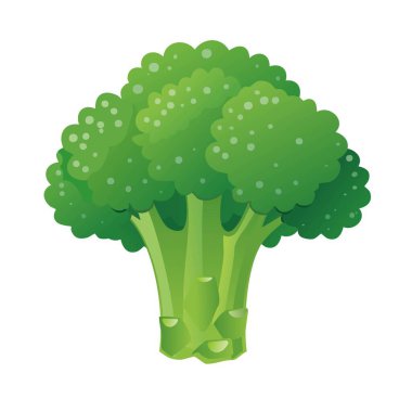 Brokolinin vektör çizimi, temiz yeşil renk, düz basit tasarım, beyaz üzerine izole edilmiş.