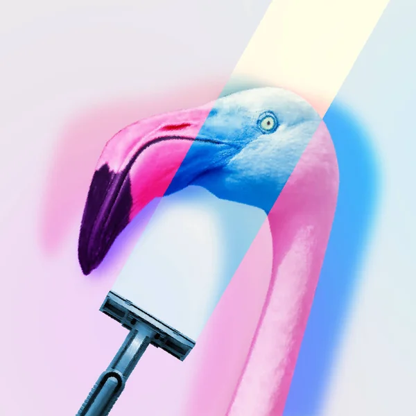 Neon Lumina Roz Albastru Umbra Roz Flamingo Cap Fundal Alb — Fotografie, imagine de stoc