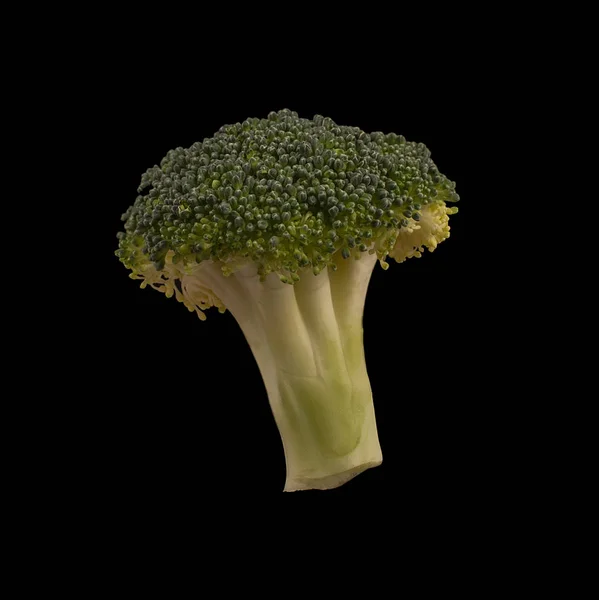 Brócoli aislado sobre fondo negro. Puesta plana — Foto de Stock
