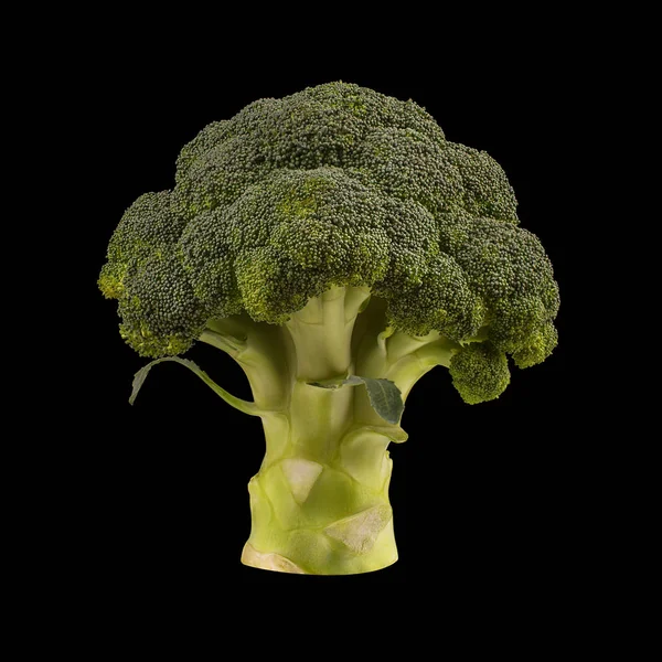 siyah arka plan üzerine izole brokoli. Düz yatıyordu