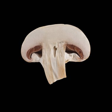 İki izole dilimlenmiş kahverengi petrol görünümü siyah arka plan üzerine kadar kapatın.