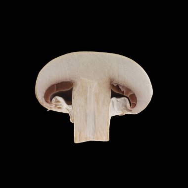 İki izole dilimlenmiş kahverengi petrol görünümü siyah arka plan üzerine kadar kapatın.