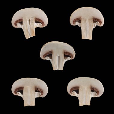 İki izole dilimlenmiş kahverengi petrol görünümü siyah arka plan üzerine kadar kapatın.