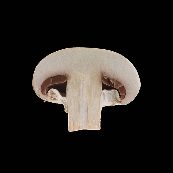 Close up view of two isolated sliced brown champignons on black background. — Stock Photo, Image