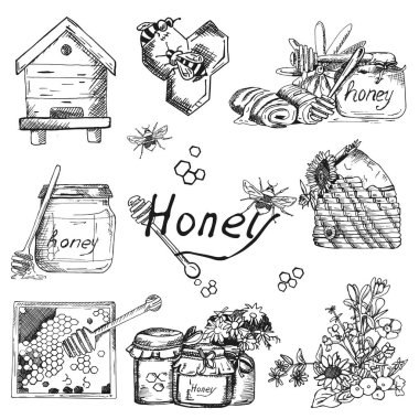 Vektör arka plan duvar kağıdı kroki tarzı tatlım, arıcılık. Renk el çekilmiş seti