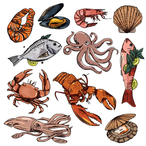 Vektor Illustration Hintergrund Hintergrundbild Sammlung Von Meeresfrüchten — Stockvektor