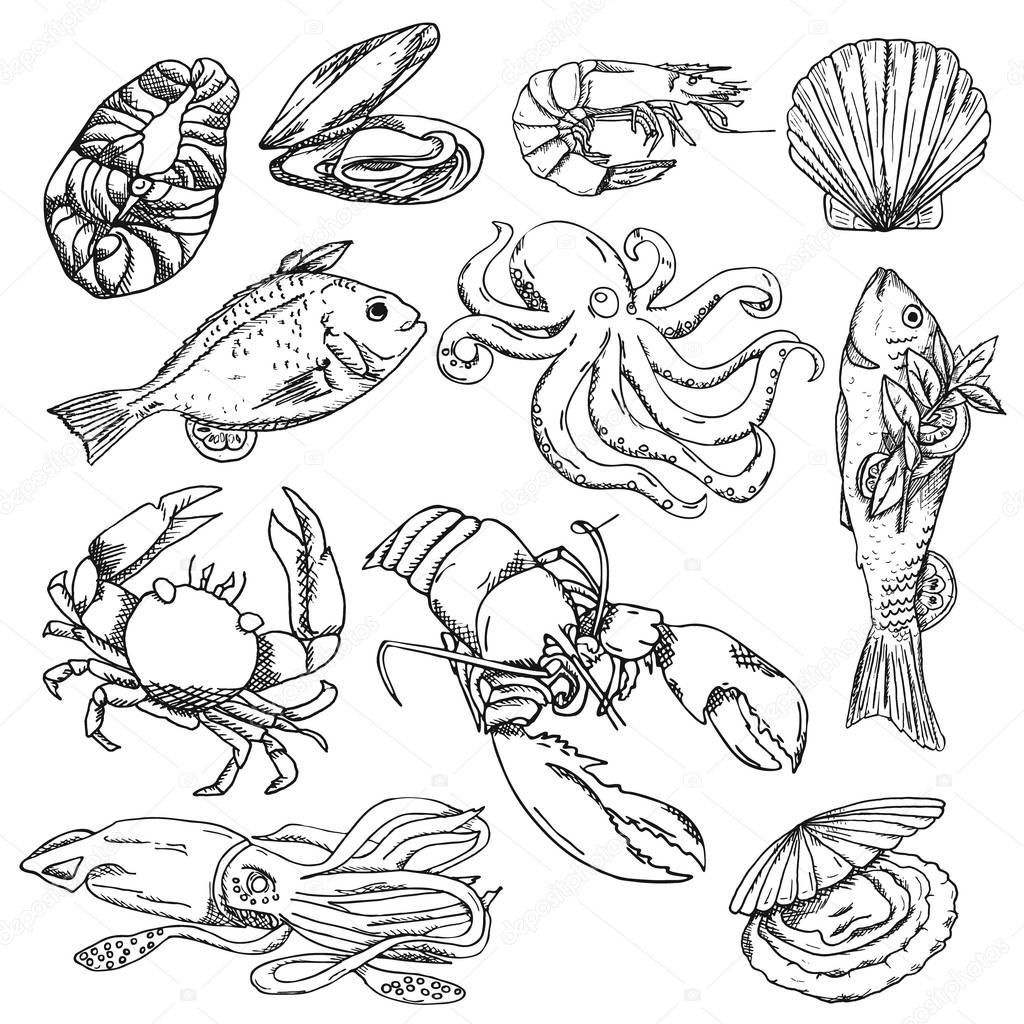 Vector illustration background, wallpaper backdrop. Collection of seafood