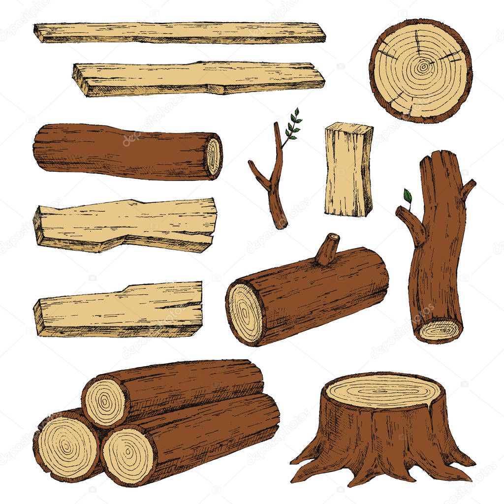 Wood, burning materials. Vector sketch illustration collection. Materials for wood industry.