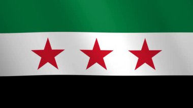 Suriye 'nin yeni ulusal bayrağını sallıyor. Üç kırmızı yıldızlı yeşil, beyaz ve siyah üç renkli. Kusursuz bir döngü içinde gerçekçi 3D animasyon.