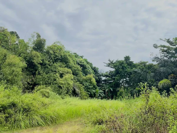 Doğanın güzel manzarası