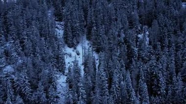 Büyüleyici 4k Drone Alplerin Görüntüsü