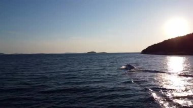 Hırvatistan 'ın Sahil şeridine Şok Edici 4k İnsansız Hava Aracı