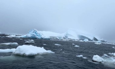 A serene Antarctic seascape featuring massive icebergs and floating sea ice under a misty sky. The frozen environment illustrates the isolation and untouched beauty of the polar regions.
